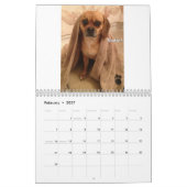 Puggle! Kalender 2013 (Feb 2027)