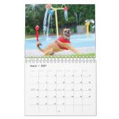 PUGGLE - KALENDER 2019 (Mär 2027)