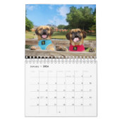 PUGGLE - KALENDER 2019 (Jan 2026)