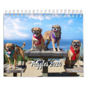 PUGGLE - KALENDER 2019 (Titelbild)