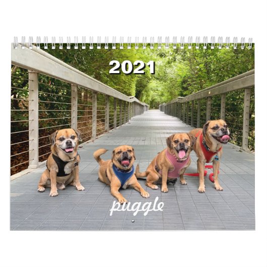 Puggle-Kalender 2021 Kalender (Titelbild)