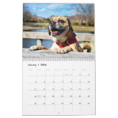Puggle-Kalender 2021 Kalender (Jan 2026)