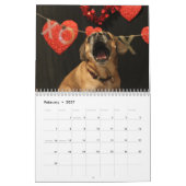 Puggle-Kalender 2021 Kalender (Feb 2027)