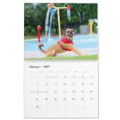 Puggle-Kalender 2022 Kalender (Feb 2027)