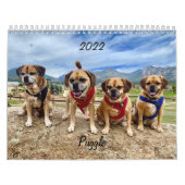 Puggle-Kalender 2022 Kalender (Titelbild)