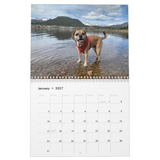 Puggle-Kalender 2022 Kalender (Jan 2027)