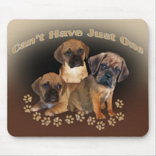 Puggle kann gerade ein Mousepad nicht haben