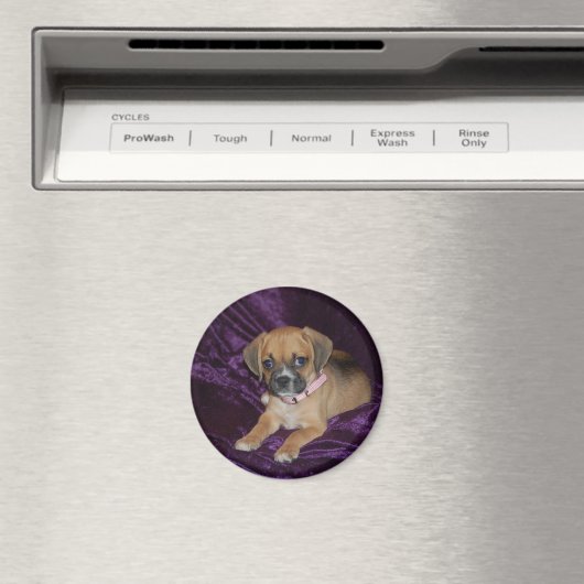 Puggle-Liebe Magnet (In Situ (Geschirrspüler))
