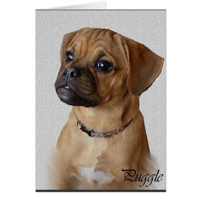 Puggle Lovers Geschenke (Vorne)