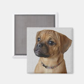 Puggle Lovers Geschenke Magnet (Vorderseite/Rückseite)
