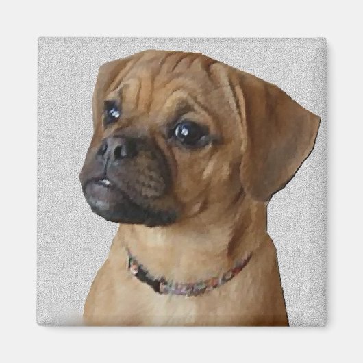 Puggle Lovers Geschenke Magnet (Vorne)