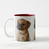 Puggle Lovers Geschenke Zweifarbige Tasse (Links)