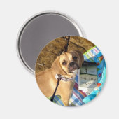 Puggle Magnet (Vorderseite/Rückseite)