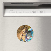 Puggle Magnet (In Situ (Geschirrspüler))