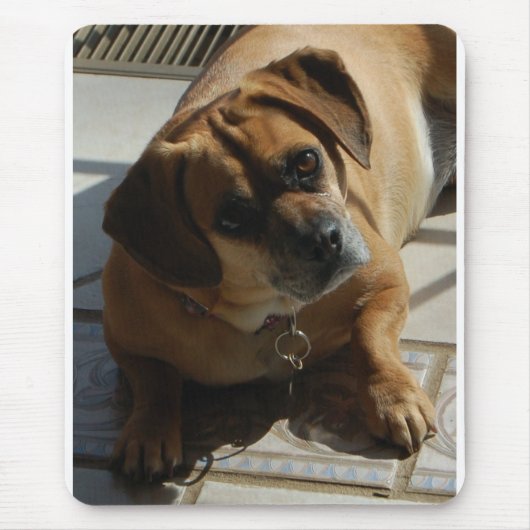 Puggle Mausunterlage Mousepad (Vorne)