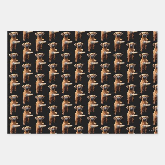 Puggle Mic Drop Geschenkpapier Set (Vorderseite 3)