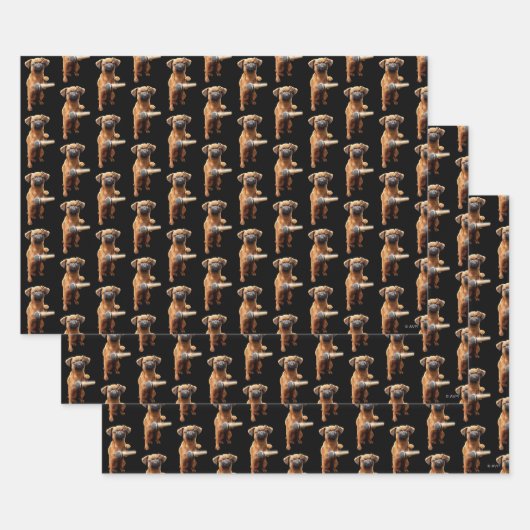 Puggle Mic Drop Geschenkpapier Set (Set)