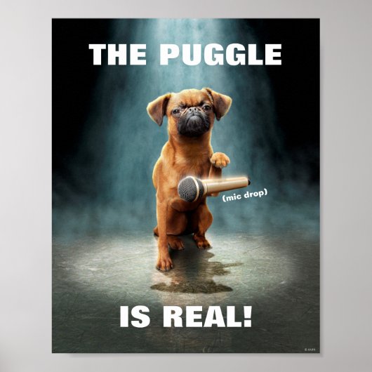 Puggle Mic Drop Poster (Vorne)