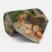 Puggle Neck Krawatte (Gerollt)