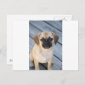 Puggle Postkarte (Vorne/Hinten)