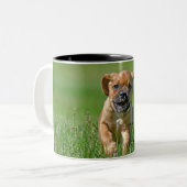 Puggle Puppy Zweifarbige Tasse (Vorderseite Links)