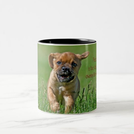 Puggle Puppy Zweifarbige Tasse (Mittel)