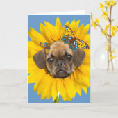 Puggle stellen in ein Gänseblümchen-den Karten (Gelbe Blume)