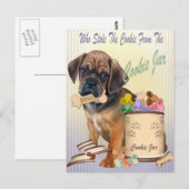 Puggle Stole Cookie von Cookie JAR Cards Postkarte (Vorne/Hinten)