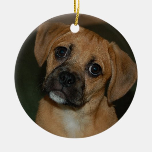 Puggle Verzierung 2 Keramik Ornament (Vorne)