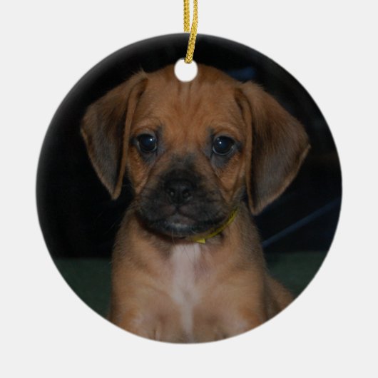 puggle Verzierung Keramikornament (Vorne)