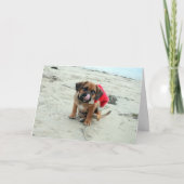 Puggle! Weihnachtskarte Feiertagskarte (Vorderseite)