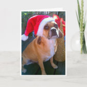 Puggle! Weihnachtskarte Feiertagskarte (Vorderseite)