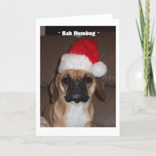 Puggle! Weihnachtskarte Feiertagskarte