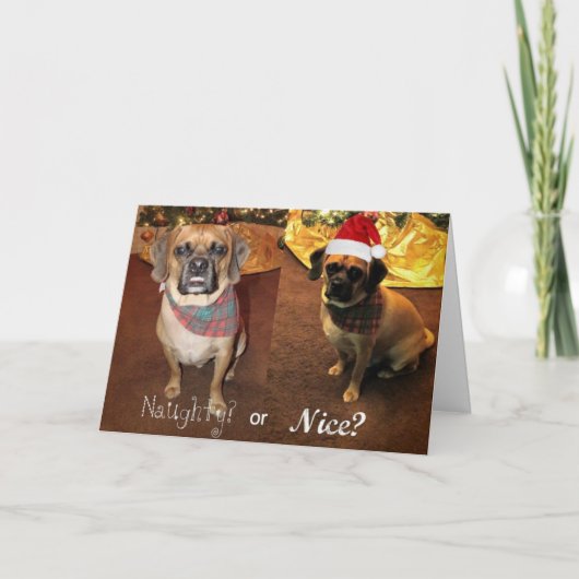 Puggle! Weihnachtskarte Feiertagskarte (Vorderseite)