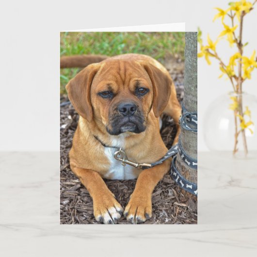 Puggle Welpe Karte (Gelbe Blume)