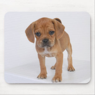 Puggle Welpen-Auflage Mousepad