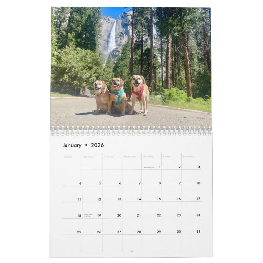 Puggles 2025 kalender (Jan 2026)