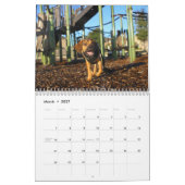 Puggles 2025 kalender (Mär 2027)