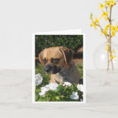 Puggles Karte (Gelbe Blume)