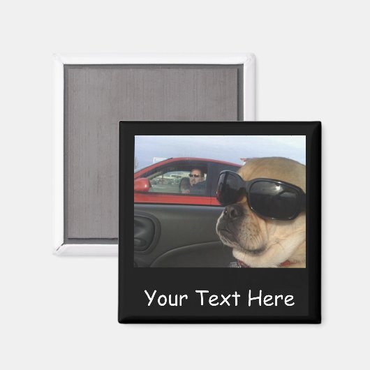 Puggles Magnet (Vorderseite/Rückseite)