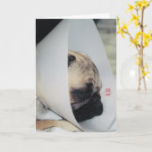 Puggy Get Well Greeting Card Karte (Gelbe Blume)