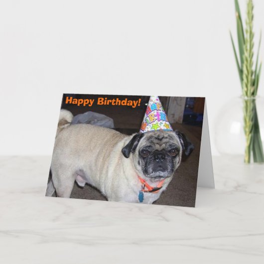 Puggy Grüße: Geburtstag Karte (Vorderseite)