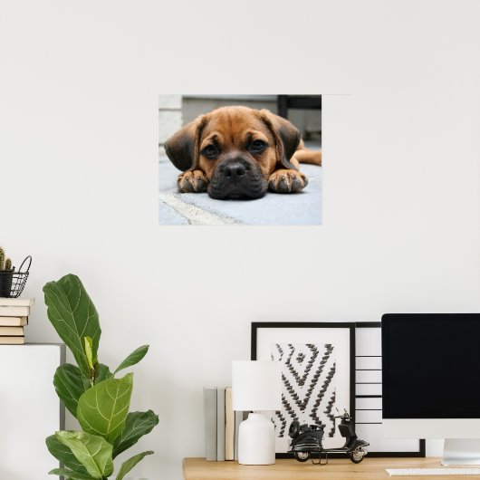 Puggy Poster (Heimbüro)