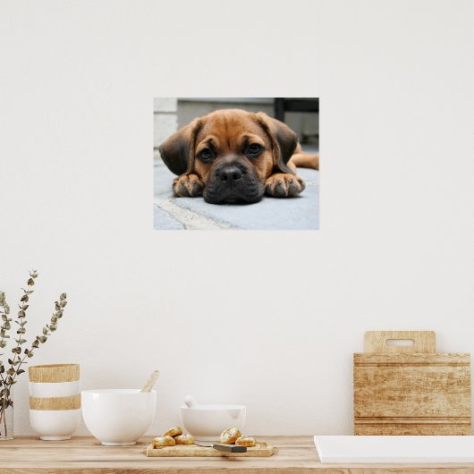 Puggy Poster (Küche)