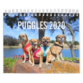 PUGLE 2020 KALENDER (Titelbild)