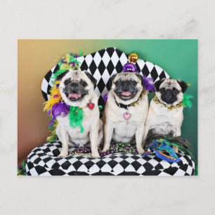 Pugsgiving Mardi Gras 2015 - Hambone Coco Olivia - Postkarte