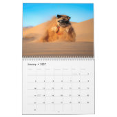 Pugventure Foto 2019: Expugdition Kalender (Jan 2027)