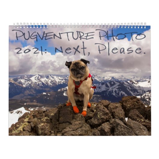 Pugventure Foto Calendar 2021: Als Nächstes bitte. Kalender (Titelbild)
