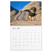 Pugventure Foto Calendar 2021: Als Nächstes bitte. Kalender (Mär 2027)