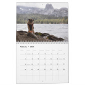 Pugventure Foto Hindsight's 2020 Calendar (Mediu) Kalender (Feb 2026)